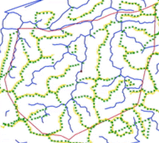 Análisis Geográfico